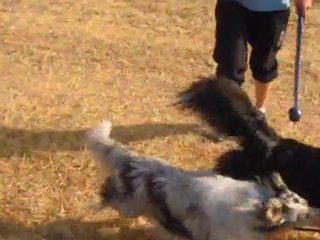 dako et les autres 005