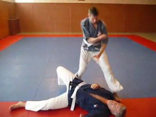 -GOSHINJUTSU  YOSEIKAN- ( self défense)