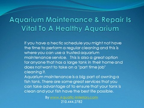 Aquarium Maintenance & Servicing Is A Must To Have A Healthy Custom Aquarium