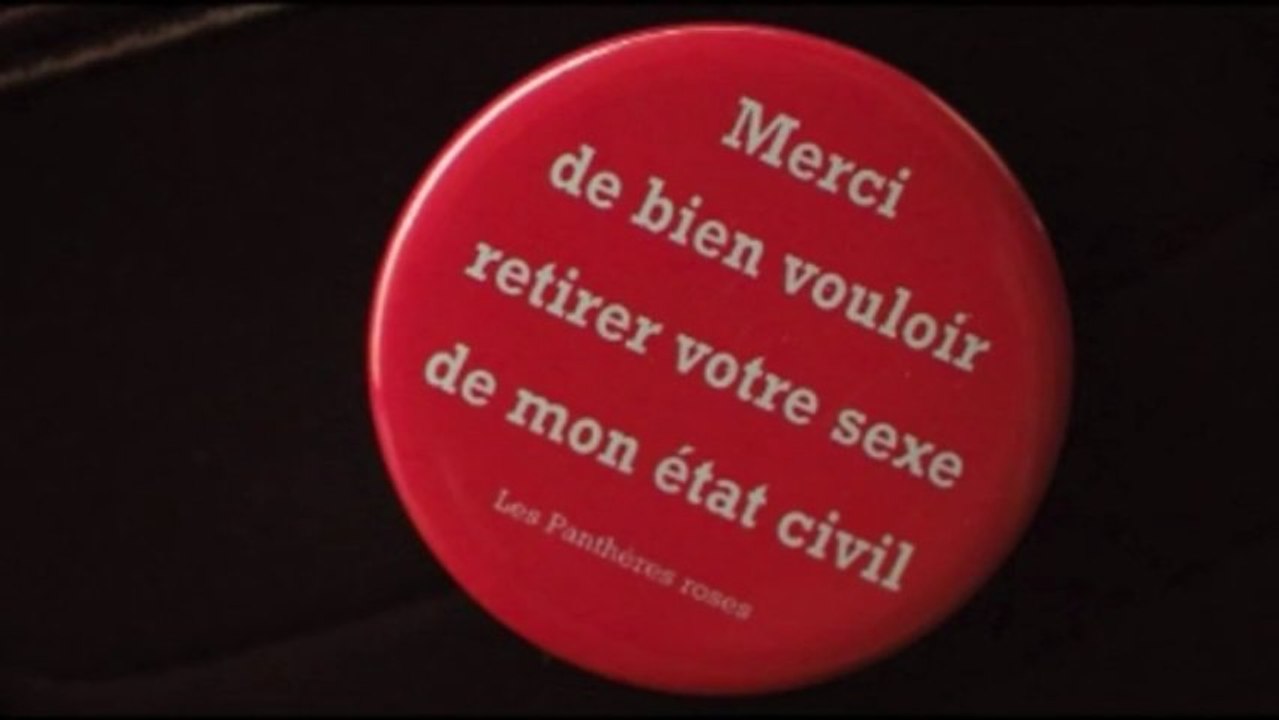Reportage de Serge Moati - "Mes questions sur les Trans"