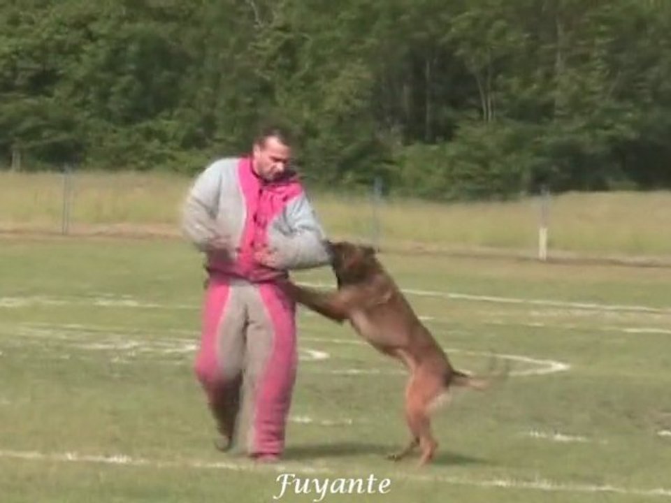 Archimède - 3e Sélectif 2011 (gr7)