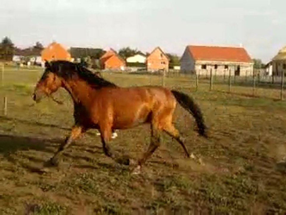 Ulkhan en longe