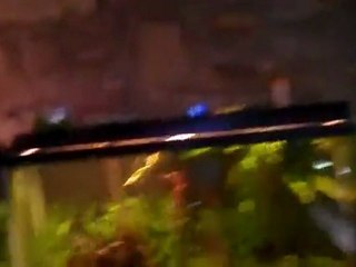 Whisper Hang on back Filters. Great Product.