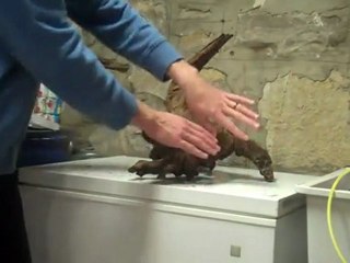 Aquascaping with drift wood theory