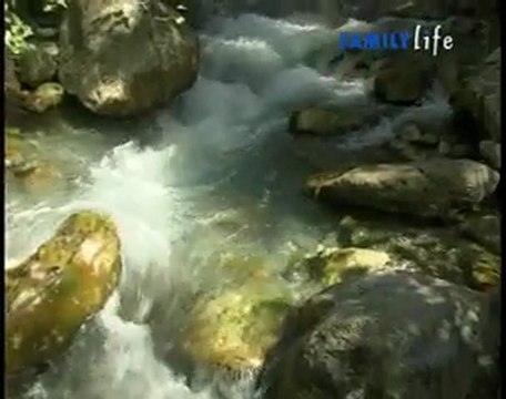 Orsomarso - Tutti al Parco (Parco del Pollino)