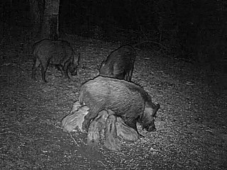 c'est l'heure de manger !!!
