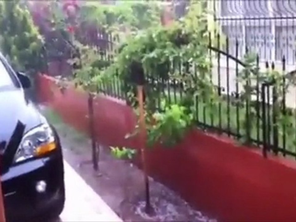 adana da yağış