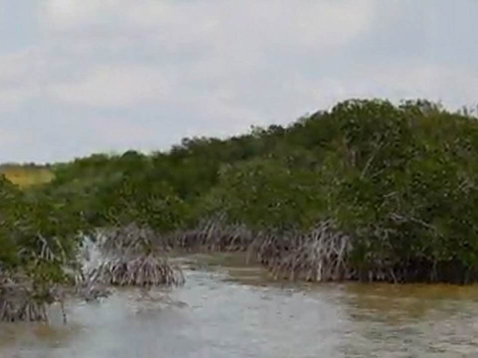 011167_5m_24fps 1080p HD