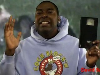 Best Cat Fight Ever !!  ( David spates )