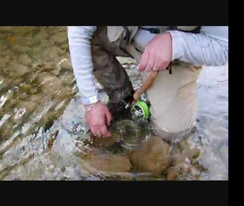 Chéran, nymphe au fil début Mai 2011