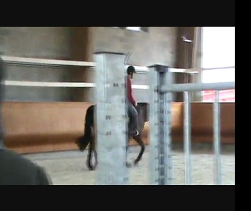 Stage Pierre Pradier longe