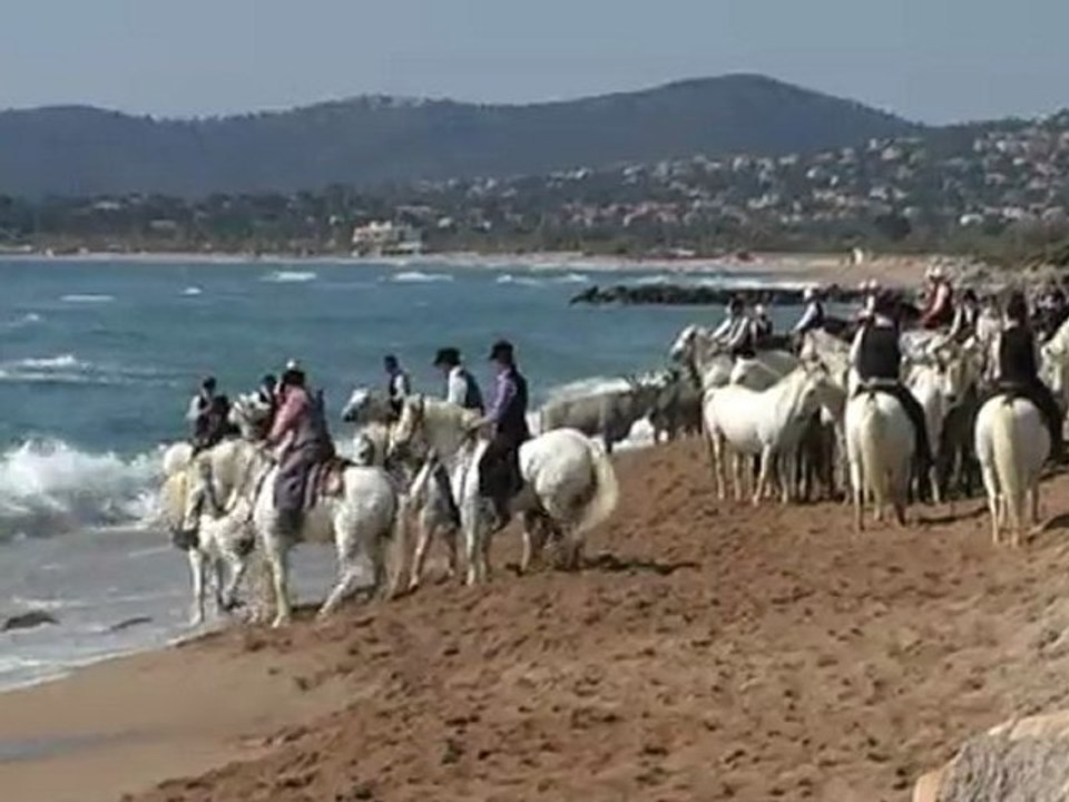 Fréjus - Cheval d' Azur - La baignade