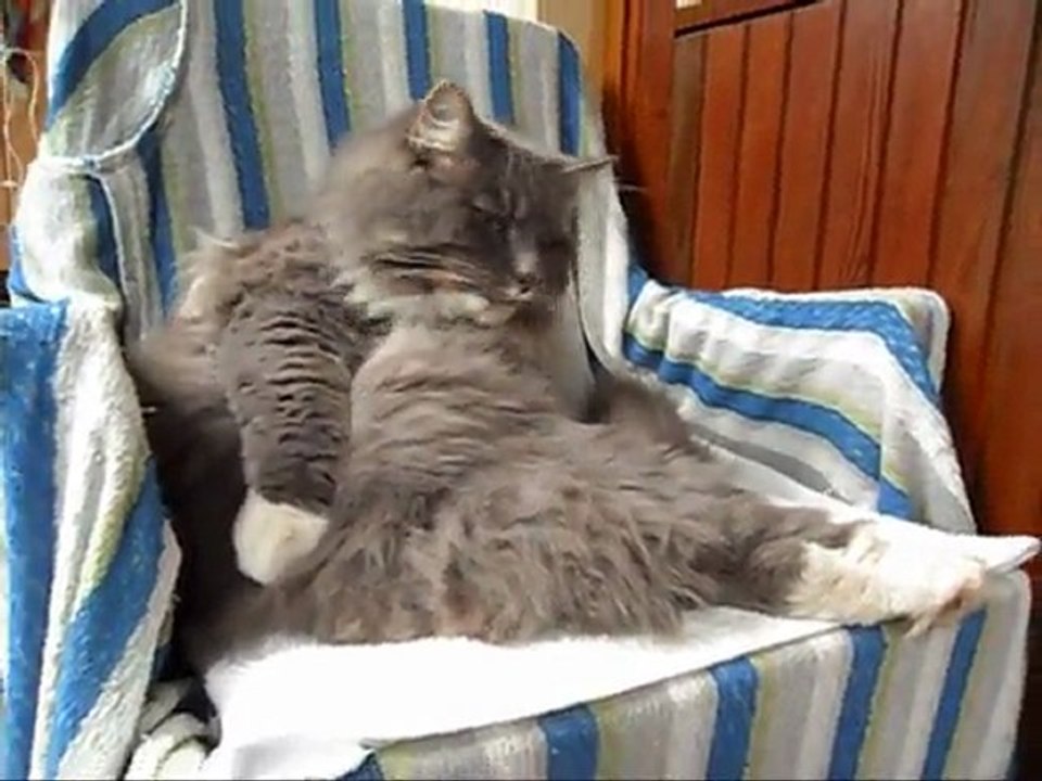 Film på Revis 15 och 17  Maj - 11.  Med musik.