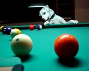 Şimdi O'Sullivan Düşünsün! 🏆 Güncel Şampiyonluk Yarışı