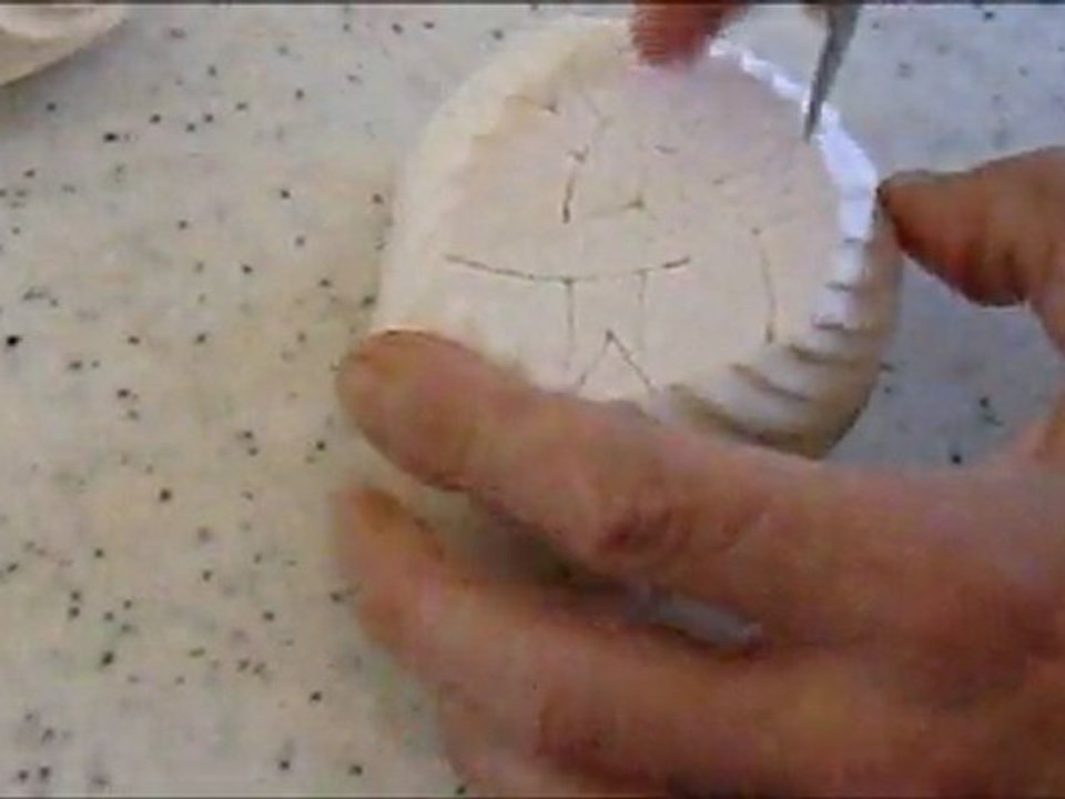 Champignons tournés