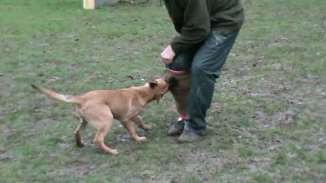 Be Aware Csocso - Training in Belgium