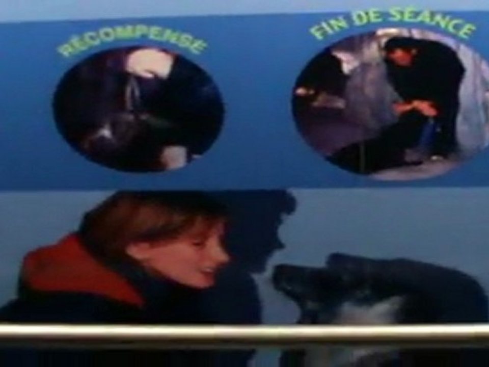 Océanopolis visité par des journalistes à Brest 3