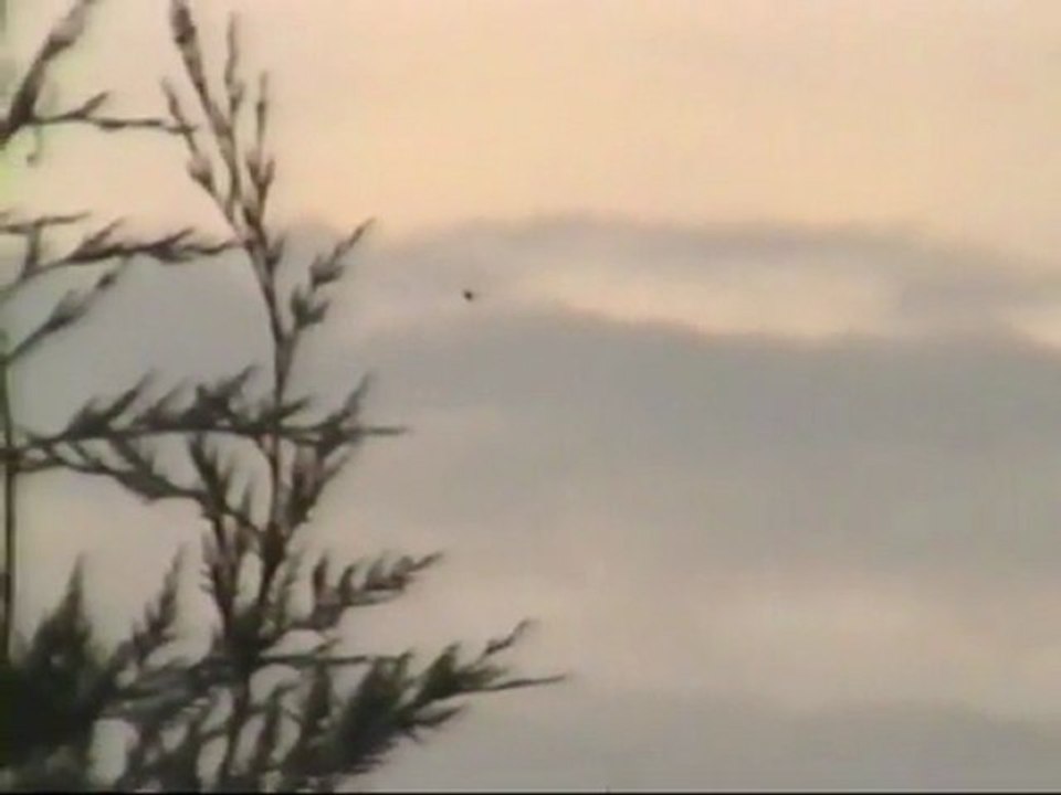 Daytime disc-shaped UFO over Tennessee, US 3-Aug-2003