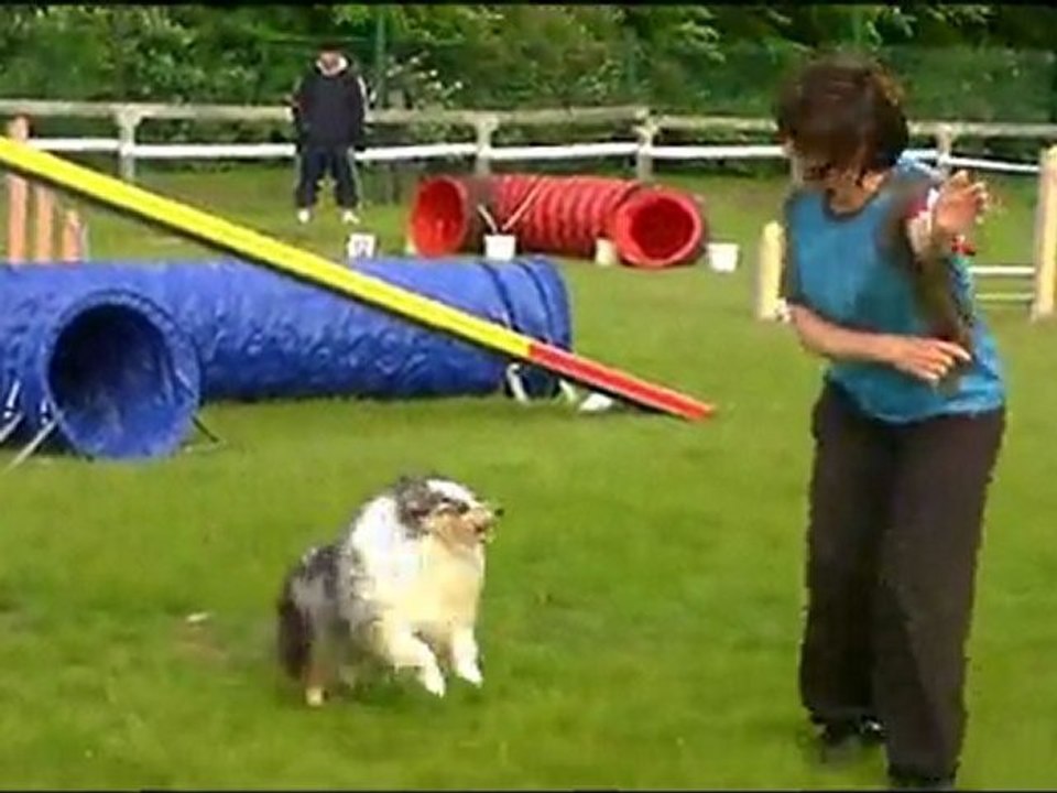 agility st brieuc exposition  Laurence et crunch  8 mai 2011