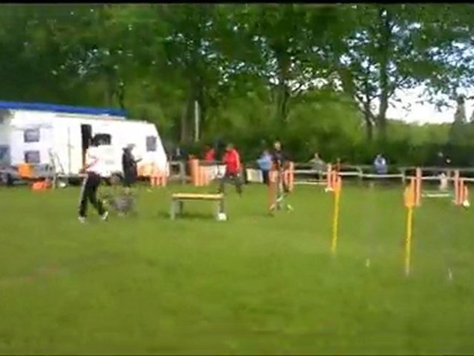 agility st brieuc exposition Sylvie et arwenn 8 mai 2011