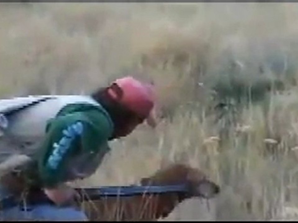 Keklik Adası www.avyaban.com - ergo