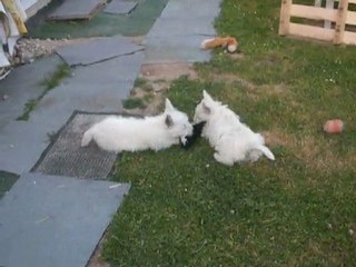 Gommette+Glamour 3 - 19.05.11