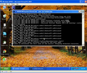 Jenkins Launch via command prompt for Selenium