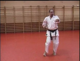 Shito ryu kata : Apprentissage et entrainement