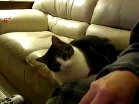 Yemek Nasıl İstenir - (by 6ustucN)