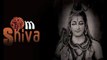 Shivoham- Adi Shankaracharya's Atama Shatakam By Anandmurti Gurumaa