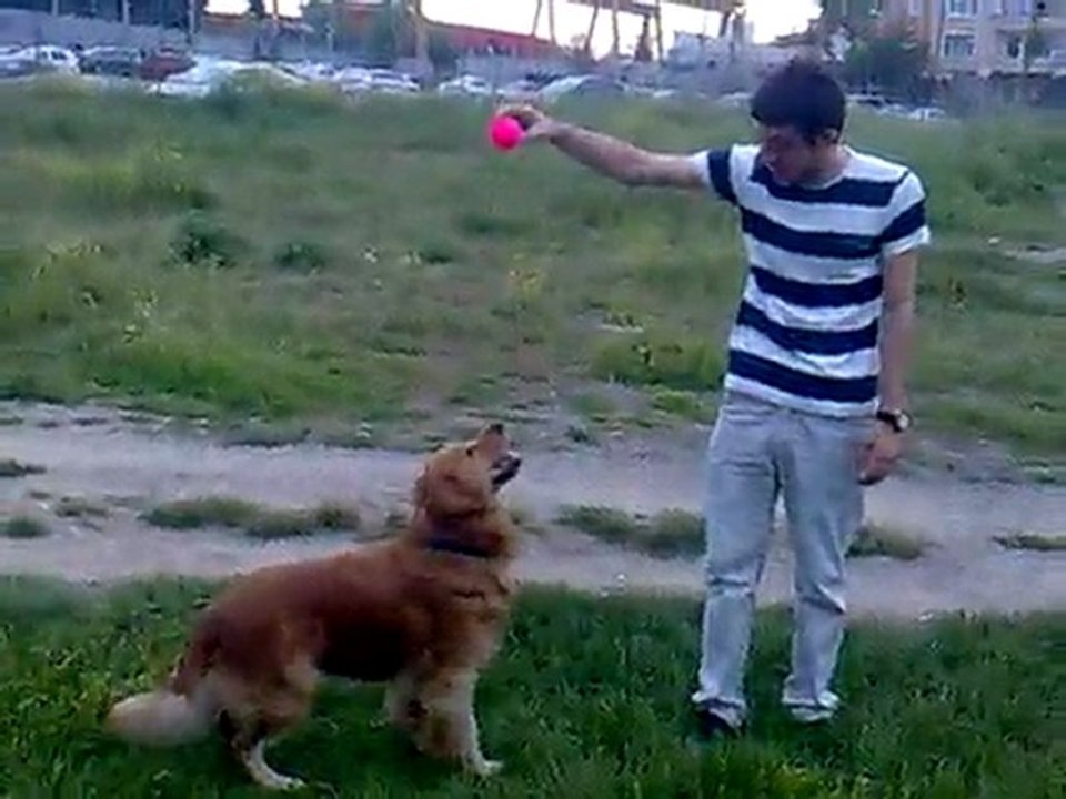 aslan ppascal:D