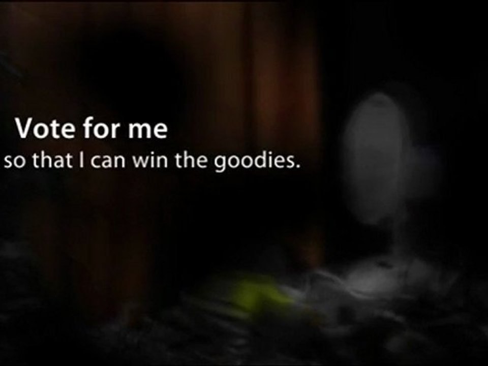 Shed Contest - Paul Yardley