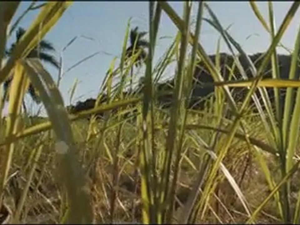 Case départ Bande-annonce