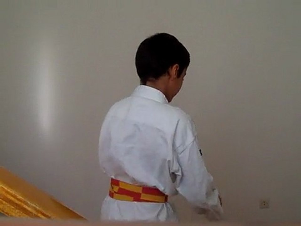 pinan shodan karate do shito ryu