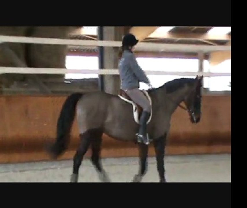 stage Pierre Pradier Cecile 2eme séance partie 2