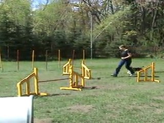 "Zuikelio taurė" - GabrielėxBerta3