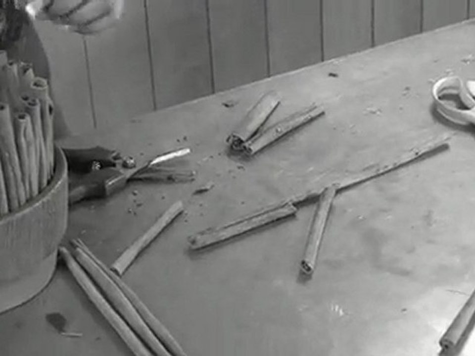 TV FLEURS /  "Pivoine à la cannelle