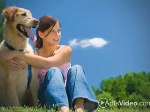 Alta Fossil Creek Apartments in Fort Worth, TX - ForRent.com