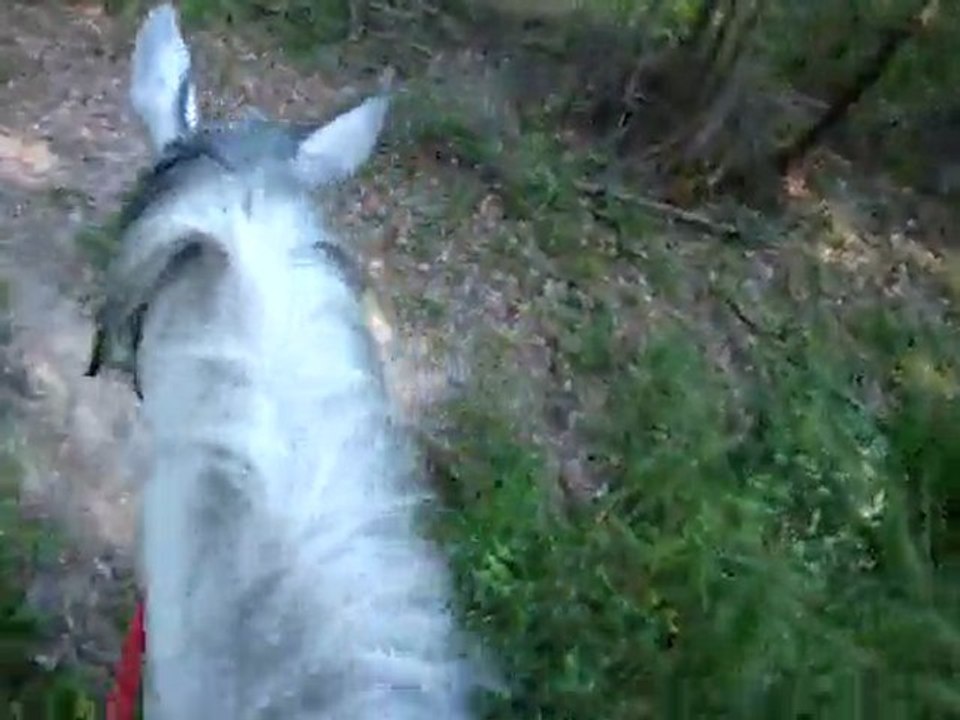 Viela balade 18 mai 2011 2