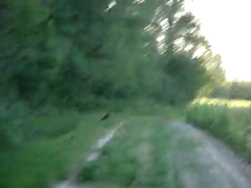 Viela balade 18 mai 2011 6