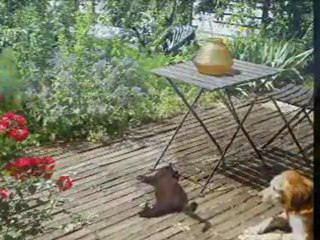 avril - mai 2011 Entre Atlantique et Loire