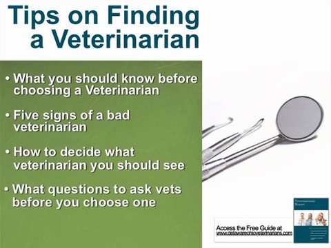 Delaware ohio veterinarians or delaware ohio vets