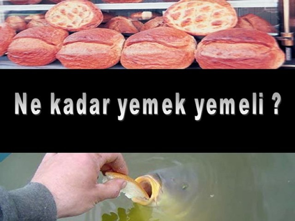 tekdilim ekmek çöpe gitmesin