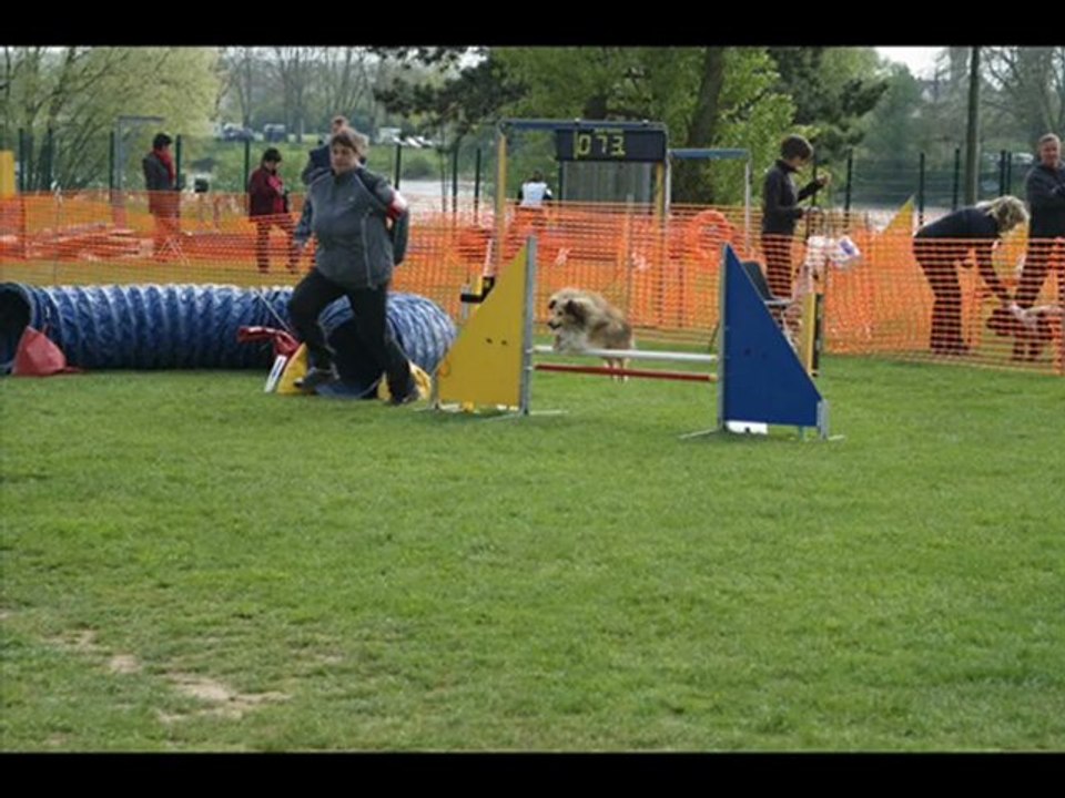 Axel et Denver agility Solgne 08/05/2011