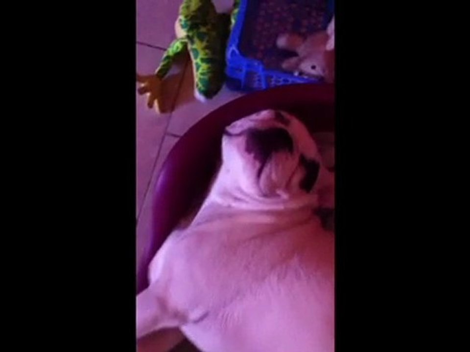 Fifty fait dodo :))
