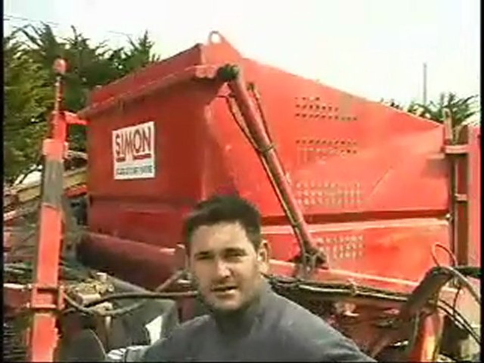 La récolte de carottes