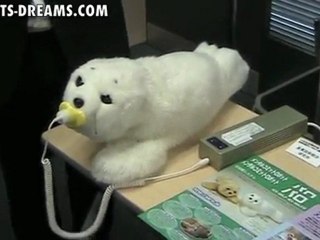 PARO Robot Seal - Chicago Museum of Science & Industry