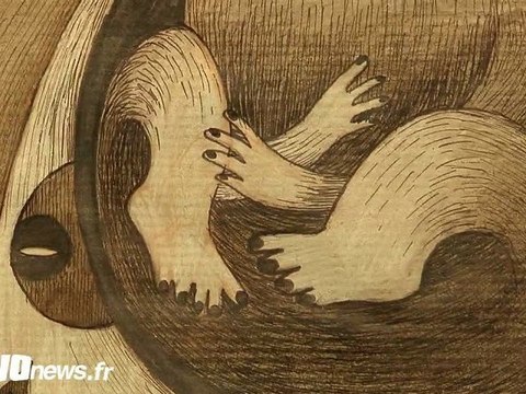 Cormeilles-en-Parisis : Découvrez Guillaume Dousse (vidéo)