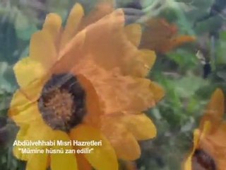 Mü’mine hüsn-ü zan edilir( Abdülvehhab-ı mısrî hazretleri) Rahmetullahi Teala Aley