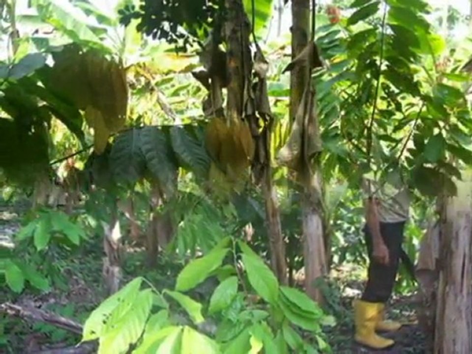 Informe Productores Puerto Parra